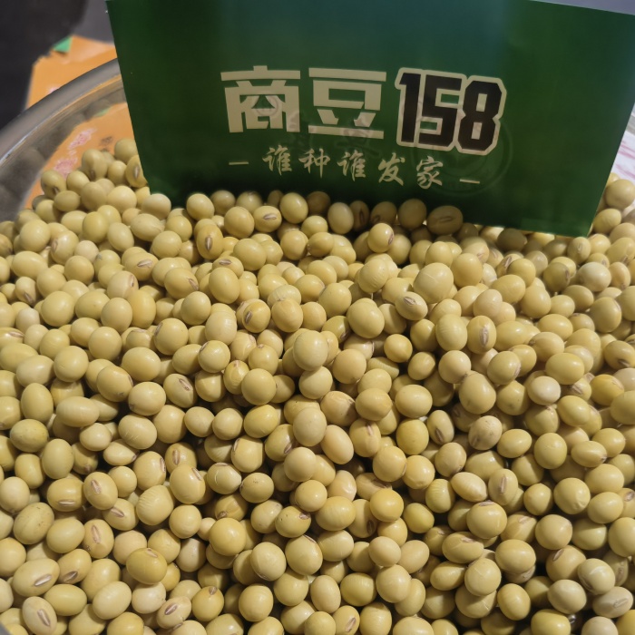 種豆商豆158